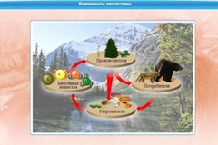 Интерактивные курсы. Биология 7 класс. Базовый. - fgospostavki.ru - Ростов-на-Дону