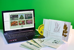 Гербарий натурально-интерактивный "Лекарственные растения" - fgospostavki.ru - Ростов-на-Дону