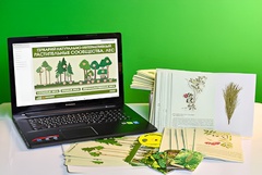 Гербарий натурально-интерактивный "Растительные сообщества. Лес" - fgospostavki.ru - Ростов-на-Дону