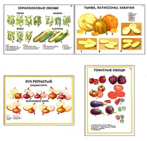 Плакаты ПРОФТЕХ "Ассортимент овощных культур" (12 пл, винил, 70х100) - fgospostavki.ru - Ростов-на-Дону