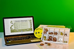 Коллекция натурально-интерактивная "Палеонтологическая" - fgospostavki.ru - Ростов-на-Дону