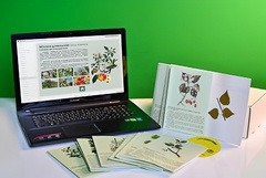 Гербарий натурально-интерактивный "Деревья и кустарники" - fgospostavki.ru - Ростов-на-Дону