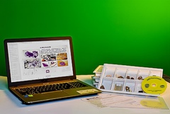 Коллекция натурально-интерактивная "Кварц в природе" - fgospostavki.ru - Ростов-на-Дону