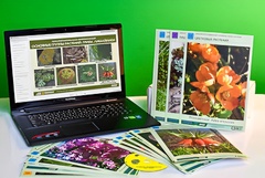 Гербарий натурально-интерактивный "Основные группы растений. Грибы. Лишайники" - fgospostavki.ru - Ростов-на-Дону