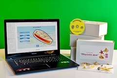 Коллекция натурально-интерактивная "Морское дно" - fgospostavki.ru - Ростов-на-Дону