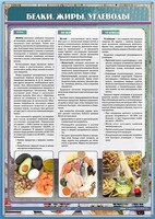Стенд "Белки. Жиры. Углеводы" - fgospostavki.ru - Ростов-на-Дону