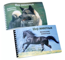 Пособие для слабовидящих - Домашние животные - fgospostavki.ru - Ростов-на-Дону