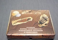 Коллекция "Формы сохранности ископаемых растений и животных" - fgospostavki.ru - Ростов-на-Дону