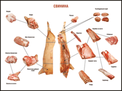 Таблица "Правила разделки мясных туш. Свинина" (100х140 сантиметров. винил) - fgospostavki.ru - Ростов-на-Дону
