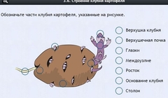 Интерактивные курсы. Биология 6 класс. Расширенный - fgospostavki.ru - Ростов-на-Дону