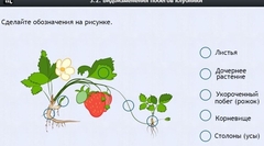 Интерактивные курсы. Биология 7 класс. Расширенный. - fgospostavki.ru - Ростов-на-Дону