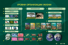 Электрифицированный стенд "Уровни организации жизни" - fgospostavki.ru - Ростов-на-Дону