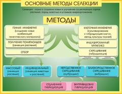 Стенд "Методы селекции и биотехнологии" - fgospostavki.ru - Ростов-на-Дону