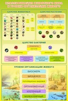 Стенд "Классификация животного мира" - fgospostavki.ru - Ростов-на-Дону