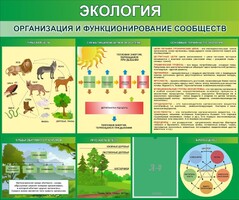 Стенд "Экология. Организация и функционирование сообществ" - fgospostavki.ru - Ростов-на-Дону