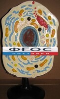 Модель "Клетка животного" - fgospostavki.ru - Ростов-на-Дону