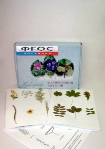 Гербарий "Морфология растений" (5 тем х 3 листа) - fgospostavki.ru - Ростов-на-Дону