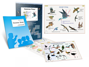 Комплект кодотранспарантов "Зоология. Птицы" - fgospostavki.ru - Ростов-на-Дону
