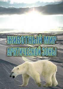 DVD "Животный мир Арктической зоны" - fgospostavki.ru - Ростов-на-Дону