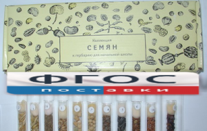 Коллекция "Семена к гербарию для начальной школы" (11 видов) - fgospostavki.ru - Ростов-на-Дону