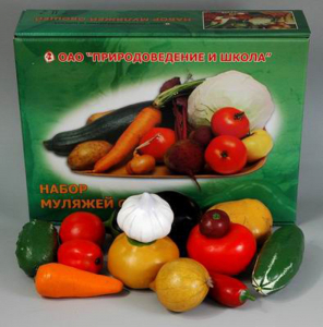 Набор муляжей овощей (большой из 13 штук) - fgospostavki.ru - Ростов-на-Дону