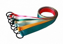 Лента гимнастическая на кольце (0,5 метра) - fgospostavki.ru - Ростов-на-Дону