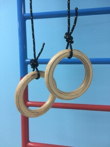 Кольца навесные для детского спортивного комплекса (диаметр 16 сантиметров, фанера) - fgospostavki.ru - Ростов-на-Дону