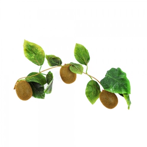 Ветка муляжей "Киви" - fgospostavki.ru - Ростов-на-Дону