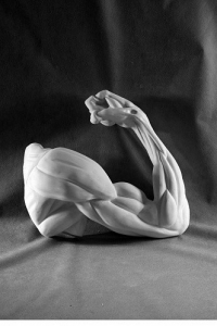 Рука согнутая в локте (гипс) - fgospostavki.ru - Ростов-на-Дону