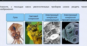 Интерактивные курсы. Биология 5 класс. Расширенный - fgospostavki.ru - Ростов-на-Дону