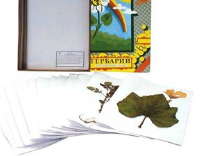 Гербарий "Сельскохозяйственные растения России" - fgospostavki.ru - Ростов-на-Дону