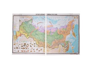 Учебная карта "Природные зоны России"  - fgospostavki.ru - Ростов-на-Дону