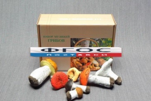 Набор муляжей грибов - fgospostavki.ru - Ростов-на-Дону