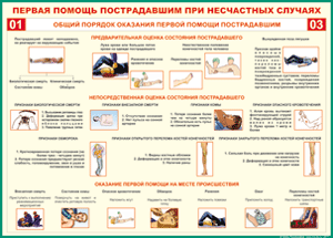 Таблица "Общий порядок оказания первой помощи пострадавшим" (100х140 сантиметров, винил) - fgospostavki.ru - Ростов-на-Дону