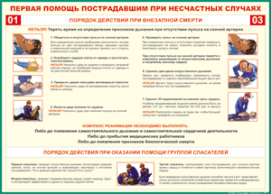 Таблица "Порядок действий при внезапной смерти" (100х140 сантиметров, винил) - fgospostavki.ru - Ростов-на-Дону