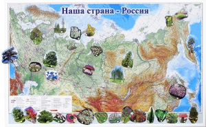 Магнитные карточки "Растения" - fgospostavki.ru - Ростов-на-Дону