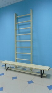 Стенка гимнастическая шведская премиум (1000х3200 мм) - fgospostavki.ru - Ростов-на-Дону