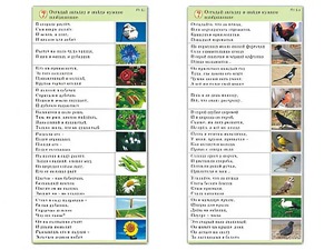Комплект карточек (10) "Обучающий калейдоскоп. Природа" - fgospostavki.ru - Ростов-на-Дону