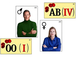 Модель-аппликация "Генетика групп крови" (ламинированная) - fgospostavki.ru - Ростов-на-Дону