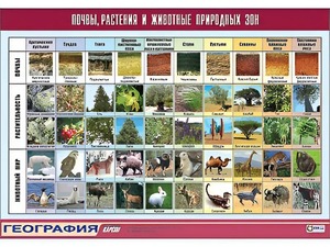 Таблица демонстрационная "Почвы, растения и животные природных зон" (винил 100*140) - fgospostavki.ru - Ростов-на-Дону