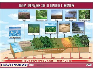 Таблица демонстрационная "Смена природных зон от полюсов к экватору" (винил 70*100) - fgospostavki.ru - Ростов-на-Дону
