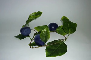 Ветка муляжей "Слива" - fgospostavki.ru - Ростов-на-Дону