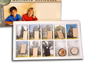 Коллекция "Древесные растения и их распространение" (раздаточная) - fgospostavki.ru - Ростов-на-Дону