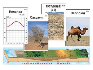Модель-аппликация "Природные зоны" - fgospostavki.ru - Ростов-на-Дону