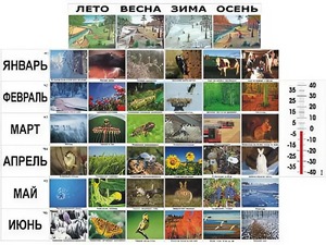 Фенологические наблюдения - fgospostavki.ru - Ростов-на-Дону