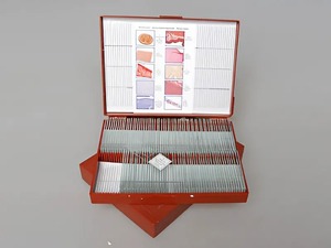 Комплект микропрепаратов "Анатомия" - fgospostavki.ru - Ростов-на-Дону