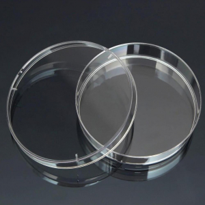 Чашка Петри стеклянная с крышкой 100х20 - fgospostavki.ru - Ростов-на-Дону