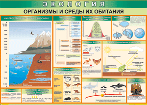 Таблица "Организмы и среды их обитания" (100х140 сантиметров, винил) - fgospostavki.ru - Ростов-на-Дону