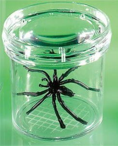 Баночка для изучения насекомых GeoSafari - fgospostavki.ru - Ростов-на-Дону