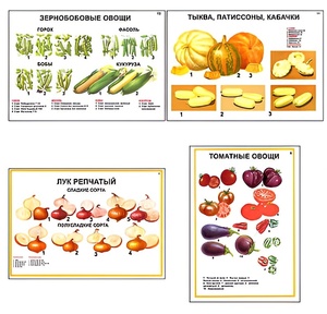 Плакаты ПРОФТЕХ "Ассортимент овощных культур" (12 пл, винил, 70х100) - fgospostavki.ru - Ростов-на-Дону